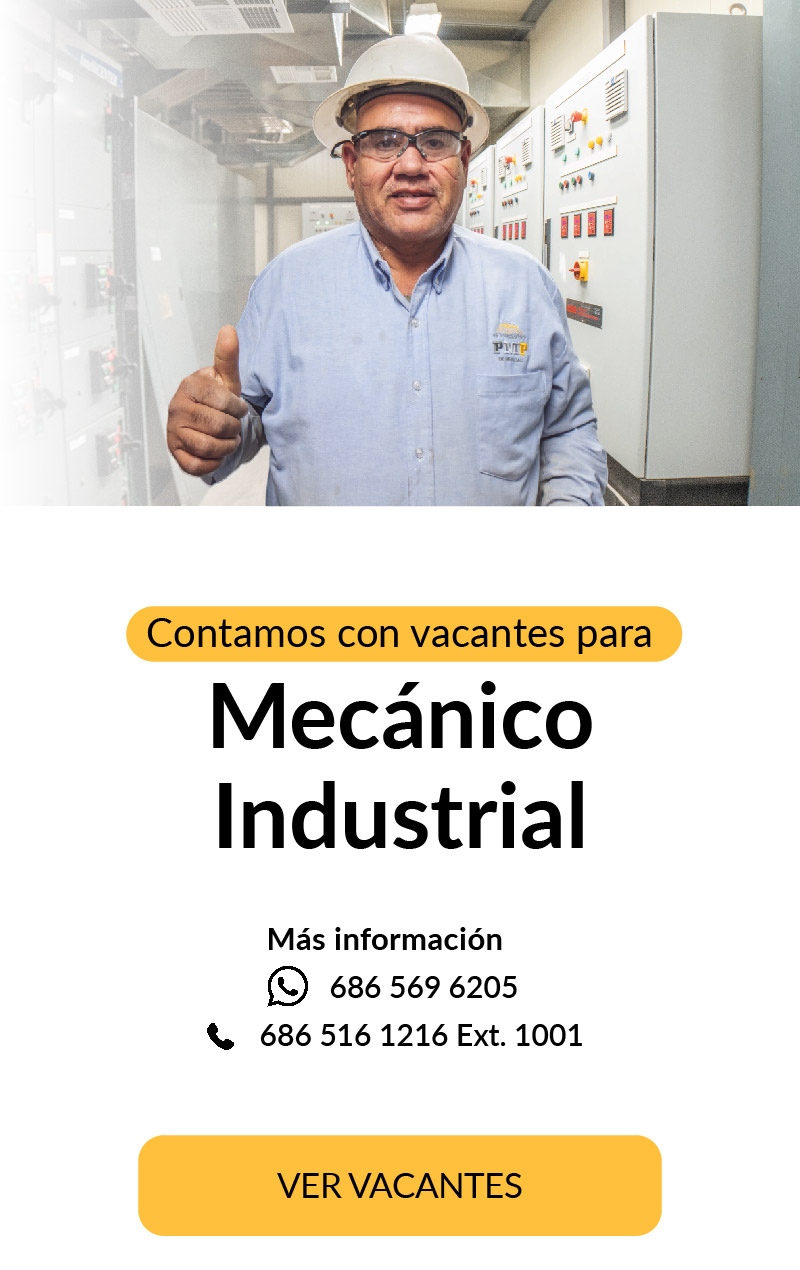 Mecánico Industrial